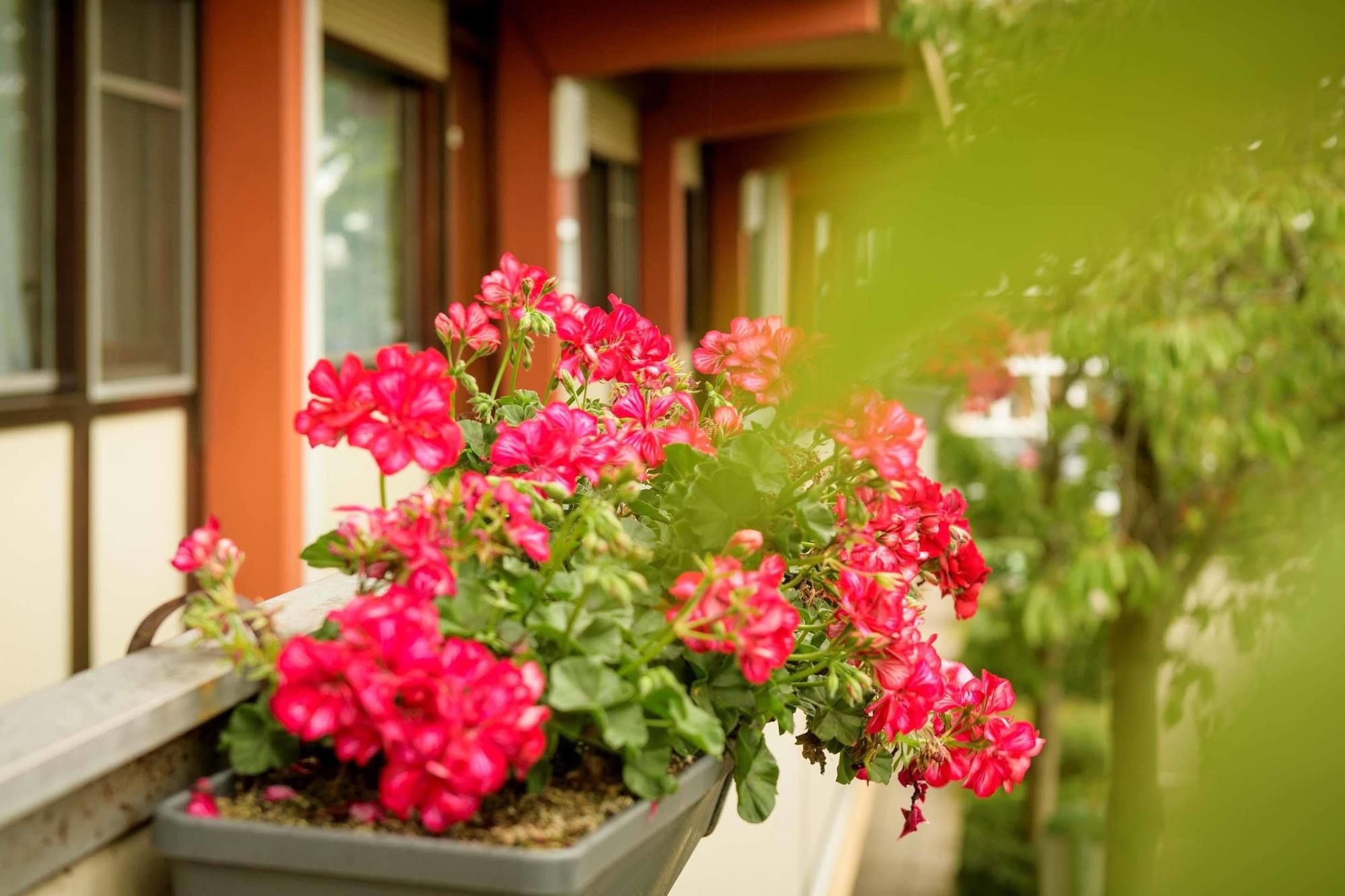 Campanile Hotel & Restaurant Gouda Luaran gambar